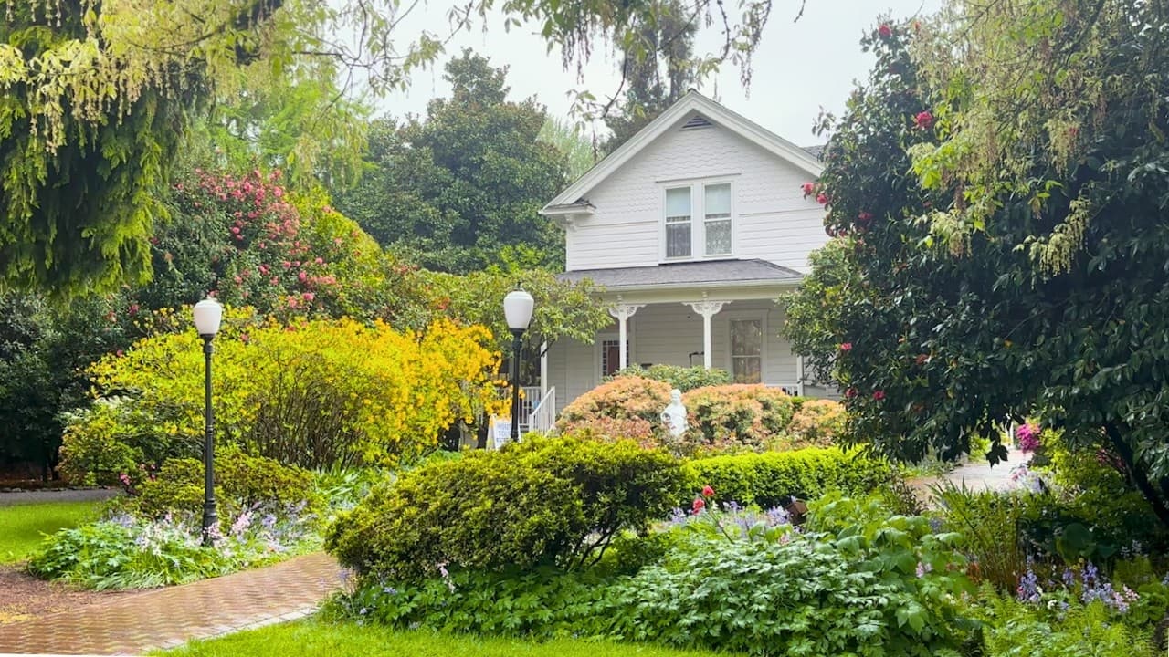 Inside the house of a lilac inventor — mealtime video thumbnail